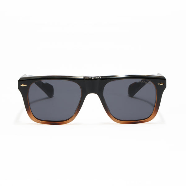 Cambria | Black Brown Wayfarer Sunglass