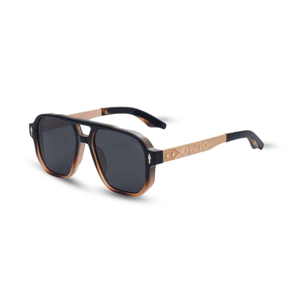 Europe | Golden Black Brown Aviator Sunglass