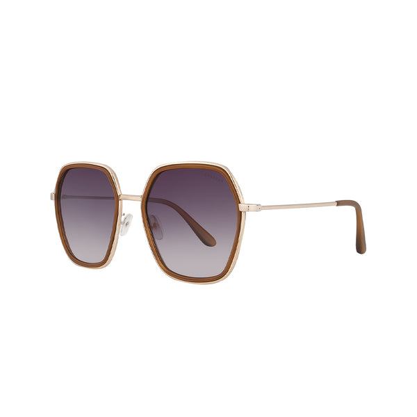 Germany | Brown Wine Oversize Sunglass