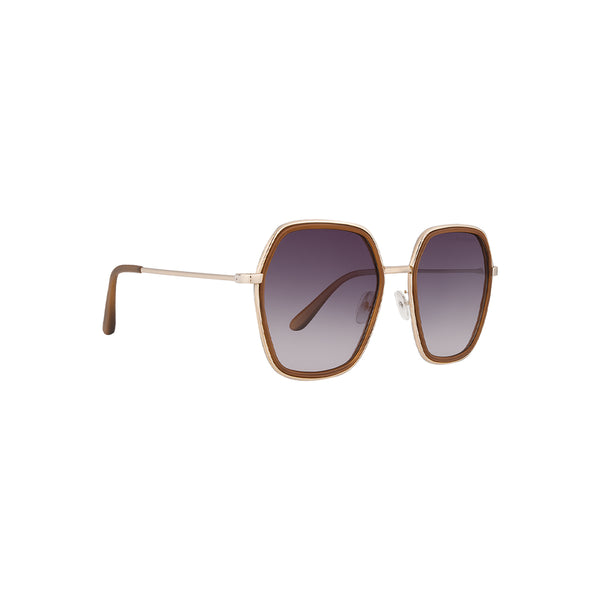 Germany | Brown Wine Oversize Sunglass