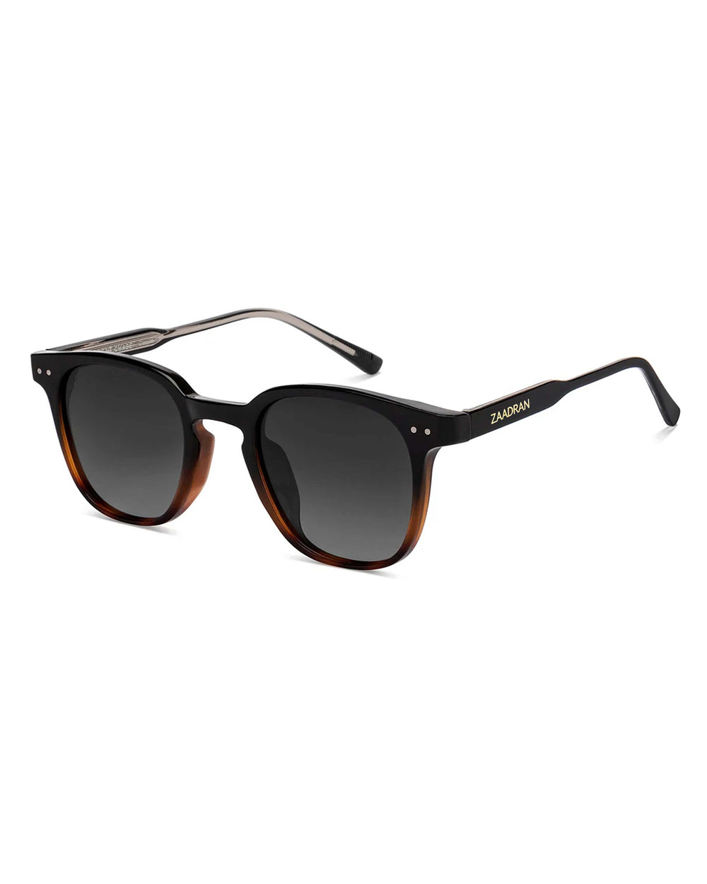 Gator I Black Brown Wayfarer Sunglass