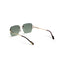 Morrocco | Golden Green Wayfarer Sunglass