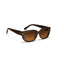 Spain | Brown Wayfarer Sunglass