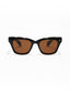 France | Brown Wayfarer Sunglass