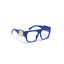 New York | Navy Blue Wayfarer Sunglass