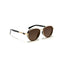 Berlin | Brown Golden Aviator Sunglass