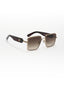 NZ | Brown Wayfarer Sunglass