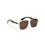 Burber | Brown Wayfarer Sunglass