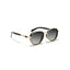 Berlin | Black Golden Aviator Sunglass