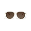 Berlin | Brown Golden Aviator Sunglass