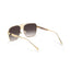 Dubai | Golden Brown Wayfarer Sunglass