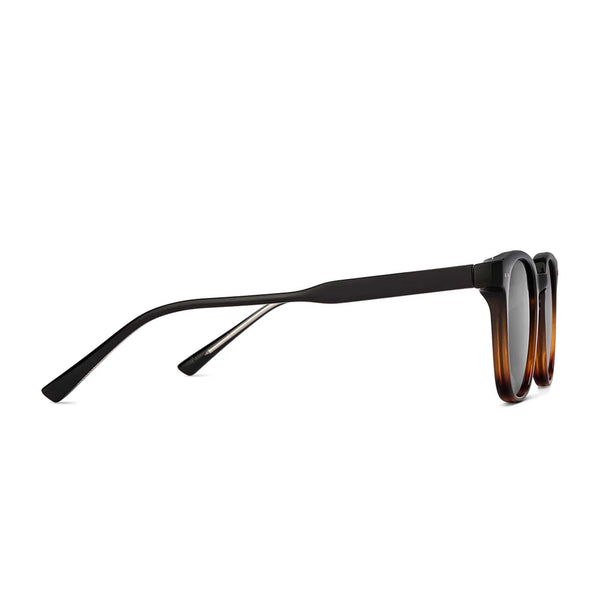 Gator I Black Brown Wayfarer Sunglass