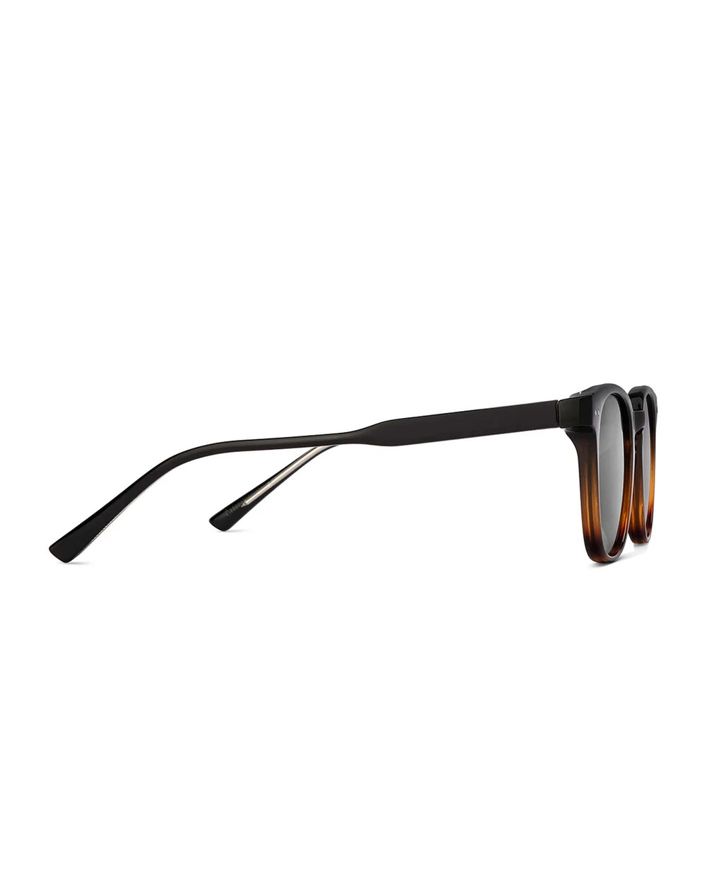 Gator I Black Brown Wayfarer Sunglass