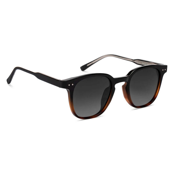 Gator I Black Brown Wayfarer Sunglass