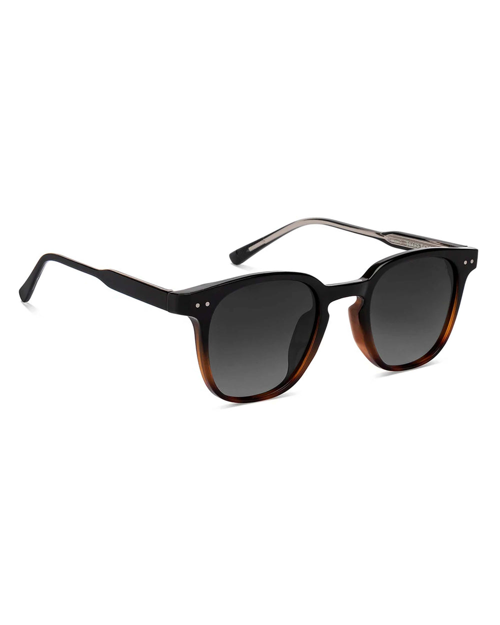 Gator I Black Brown Wayfarer Sunglass