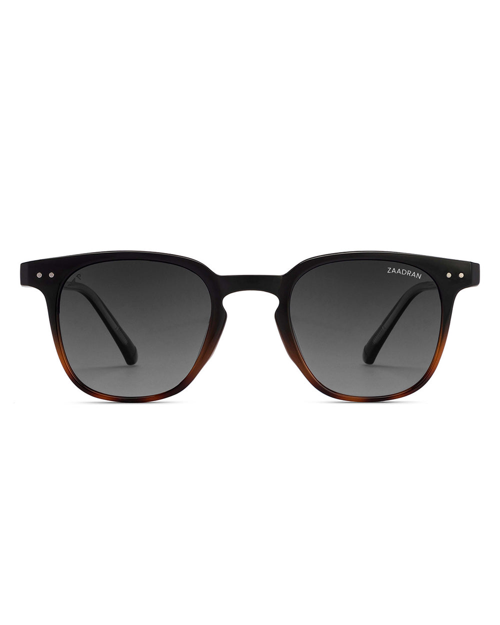 Gator I Black Brown Wayfarer Sunglass