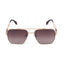 Alaska | Golden Brown Aviator Sunglass