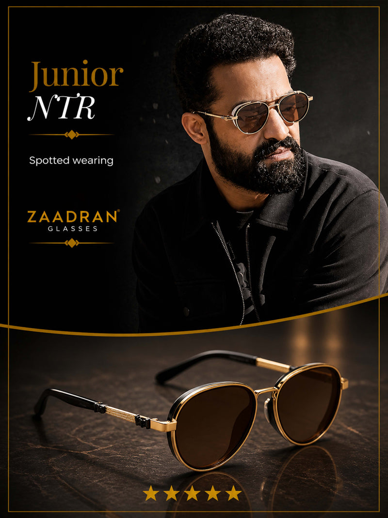 Berlin | Brown Golden Aviator Sunglass