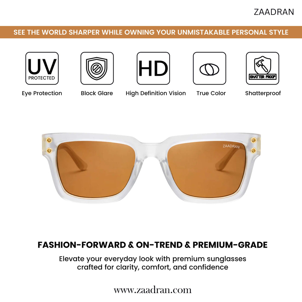 USA | White Brown Wayfarer Sunglass