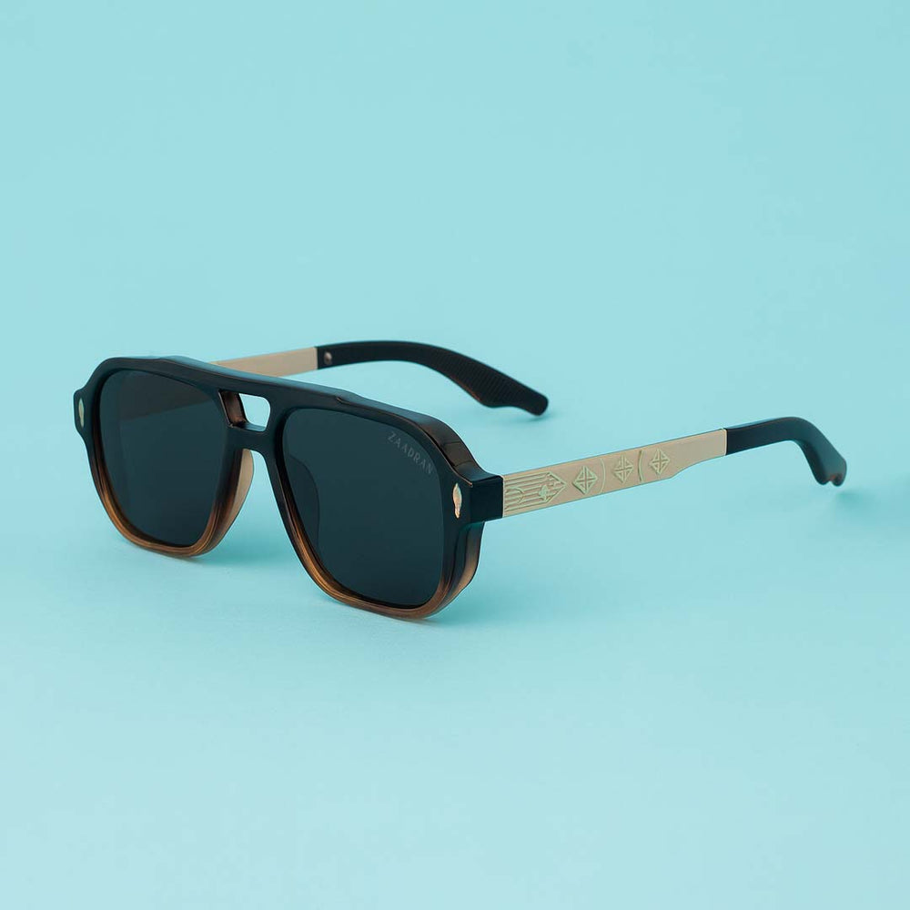 Europe | Golden Black Brown Aviator Sunglass