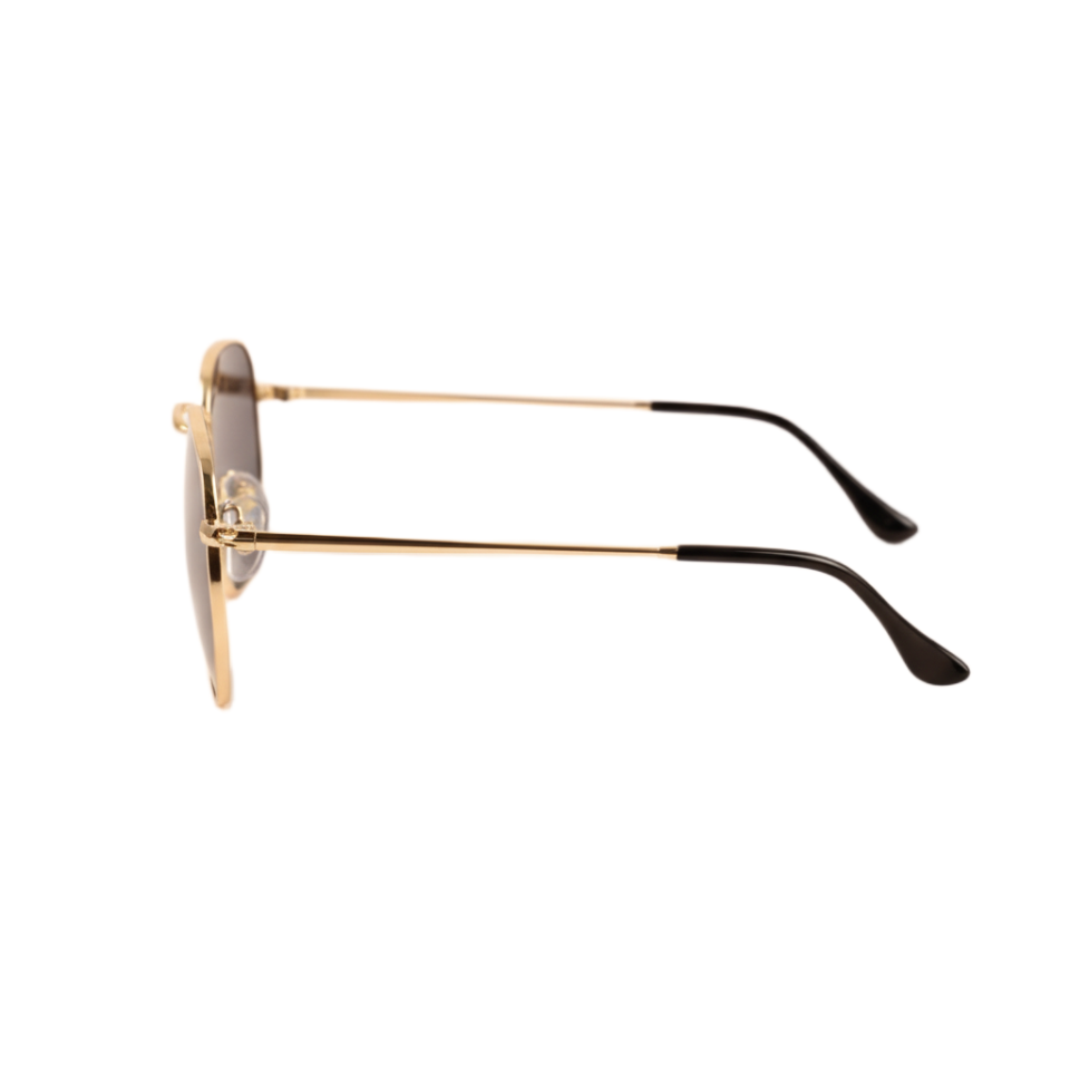 Chile| Brown Hexa Gold Oversize Sunglass